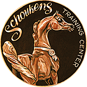 Schoukens footer logo